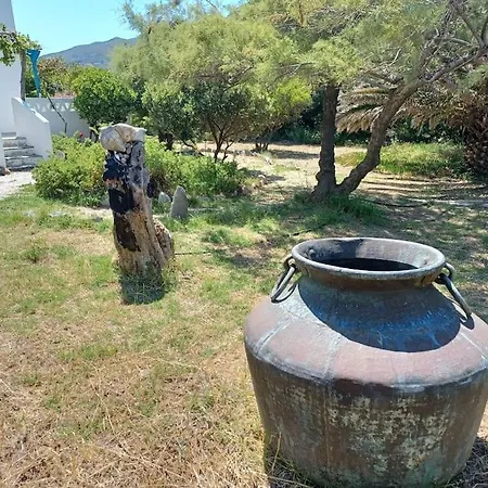 Tatil Evi Bnb, Captain's House İskiri